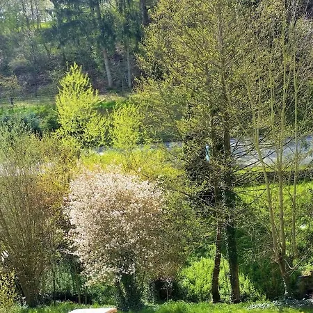 One-bedroom Waldsolms