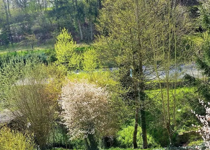 One-bedroom Waldsolms